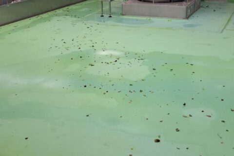 Pavimenti in Poliuretano Cemento Certificato HACCP: La Scelta Ideale per Ambienti Alimentari