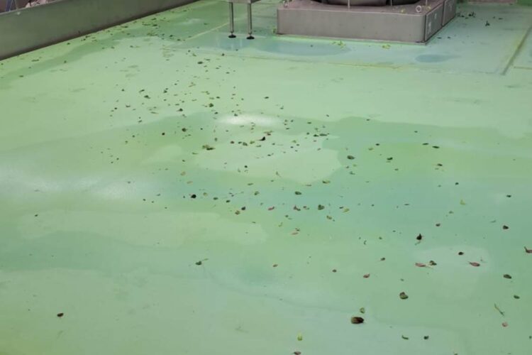 Pavimenti in Poliuretano Cemento Certificato HACCP: La Scelta Ideale per Ambienti Alimentari